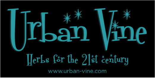 Urban Vine