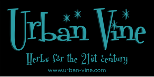 Urban Vine 