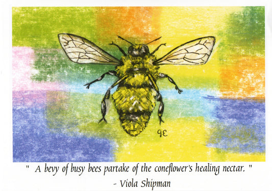 Insect Series Greeting Cards