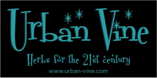 Urban Vine 