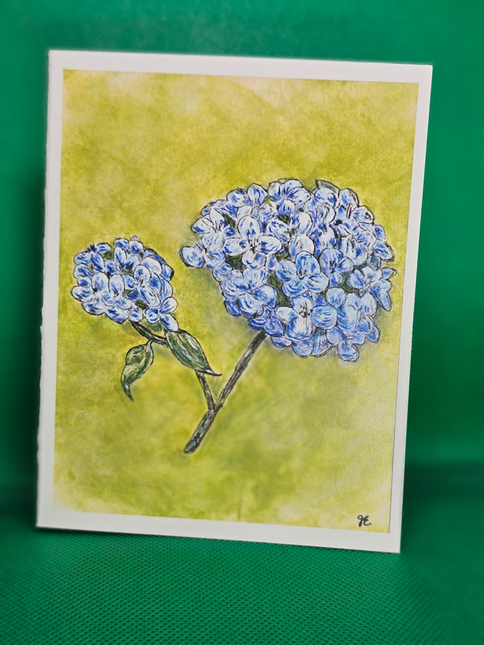 Hydrangea Gift Cards Urban Vine